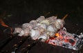 Barbecue is fried at night on an open fire Royalty Free Stock Photo