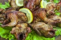 Fried quail in the orange with tomato and fresh parsley and spices Royalty Free Stock Photo