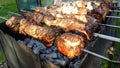 Barbecue fried in the street picnic baked slow-motion summer stick cooking