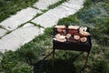 Barbecue in the garden