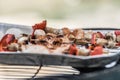 Barbecue in the garden, you can see skewers, chicken and mushrooms and peppers. Metal sheet over heated coals. Royalty Free Stock Photo