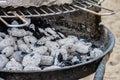 Barbecue in the garden, you can see skewers, chicken and mushrooms and peppers. Metal sheet over heated coals. Royalty Free Stock Photo