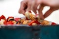 Barbecue in the garden, you can see skewers, chicken and mushrooms and peppers. Metal sheet over heated coals. Royalty Free Stock Photo