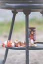 Barbecue in the garden, you can see skewers, chicken and mushrooms and peppers. Metal sheet over heated coals. Royalty Free Stock Photo