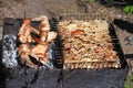 Barbecue grill chicken wings and pork and beef meat