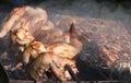 Barbecue grill chicken wings and pork and beef meat Royalty Free Stock Photo