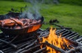 barbecue grill on the fire celebrating with friends and family on canada , america independence day Royalty Free Stock Photo