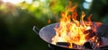 Barbecue Grill. Fire flame Royalty Free Stock Photo