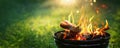 Barbecue Grill. Fire flame Royalty Free Stock Photo