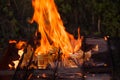 Barbecue grill flame close up Royalty Free Stock Photo