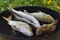 Barbecue grill with sea fishes, very light seasoning for a natural and healthy meal, close-up picture.