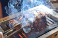 Barbecue grill skewer Royalty Free Stock Photo