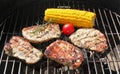 Barbecue grill Royalty Free Stock Photo