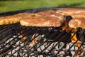 Barbecue Grill Steaks, Grilled meat on the Flamed BBQ. Royalty Free Stock Photo