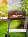 Barbecue grill with various kinds of meat Royalty Free Stock Photo