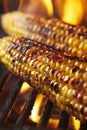 Barbecue grilled corn with flames delicious bbq corn on the cob cooked over fire Royalty Free Stock Photo