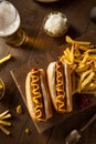 Barbecue Grilled Hot Dog Royalty Free Stock Photo