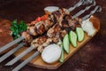 Grilled meat skewers, shish kebab, healthy vegetable fresh tomato, cucumber, onion and bread Royalty Free Stock Photo