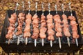 Barbecue Grilled pork kebabs meat lamb kebab marinated caucasus barbecue meat shashlik shish kebab outdoors picnic, soft Royalty Free Stock Photo