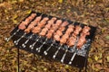 Barbecue Grilled pork kebabs meat lamb kebab marinated caucasus barbecue meat shashlik shish kebab outdoors picnic, soft Royalty Free Stock Photo