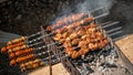 Barbecue Grilled pork kebabs meat lamb kebab marinated barbecue meat shashlik shish kebab outdoors picnic. Shashlik or Shish kebab Royalty Free Stock Photo