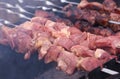 Barbecue grilled pork kebabs meat