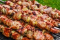 Barbecue grilled shashlik kebab on skewer Royalty Free Stock Photo