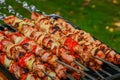 Barbecue grilled shashlik kebab on skewer Royalty Free Stock Photo