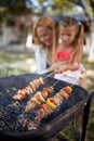 Barbecue, grilling.Family time - barbecue grill with various kinds of juicy meat