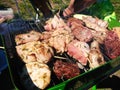 Grilling meat outdoors in a park Royalty Free Stock Photo