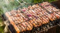 Barbecue kebab grilling cooking meat on camping close up