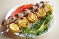 Barbecue Lula Kebab with minced meat, fresh vegetables and greens Royalty Free Stock Photo