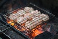 Barbecue meat on coal fire. The ingredient of bun cha is the famous Vietnamese noodle soup with bbq meat, spring roll, vermicelli Royalty Free Stock Photo