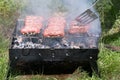 Barbecue with mici Royalty Free Stock Photo