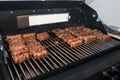 Barbecue with mici Royalty Free Stock Photo