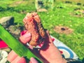 Barbecue in nature. a girl with a pink manicure holds a fried piece of meat with a crust in her hand. hearty lunch in nature with