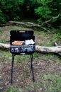Barbecue in nature. Sausages and baked potatoesÃâ