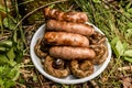 Barbecue on the nature in summer mushrooms meat sausages kebab grill lies on a plate on the grass Royalty Free Stock Photo