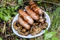 Barbecue on the nature in summer mushrooms meat sausages kebab grill lies on a plate on the grass Royalty Free Stock Photo