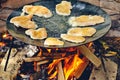 Barbecue party -chicken meat being grilled in a barbecue Royalty Free Stock Photo