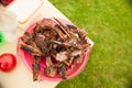 Barbecue in a plastic bowl on the edge of the table at the picnic Royalty Free Stock Photo