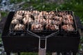 Barbecue of pork meat, shish kebab pieces on metal open metal grill frying on coals on nature Royalty Free Stock Photo