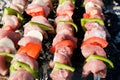 Barbecue with raw meat skewers Royalty Free Stock Photo