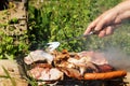 Barbecue. Sausages, chicken thighs, steaks, bacon on a grill grate.