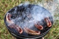 Barbecue sausages on the grill. Royalty Free Stock Photo