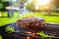 Barbecue season: tasty roasted steak on a flaming grill in the backyard Royalty Free Stock Photo
