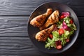 Barbecue serving of grilled chicken drumsticks and fresh vegetable salad closeup. Horizontal top view Royalty Free Stock Photo