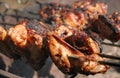 Barbecue. Shashlik (kebab) Royalty Free Stock Photo