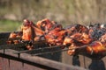 Barbecue, shashlik, kebab from meat Royalty Free Stock Photo