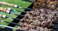 Barbecue shashlik kebab with winglets in chargrill semifinished on skewer side view closeup Royalty Free Stock Photo